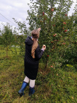 Чем сегодня занимались - IMG_20220910_081858~2.jpg