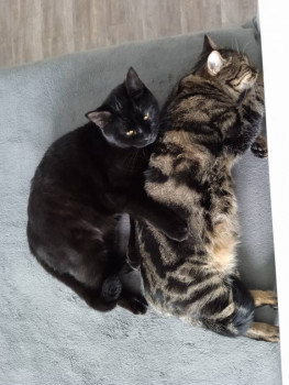 Кого из животных вы содержите? Фото приветствуется. - IMG_20220916_145354.jpg