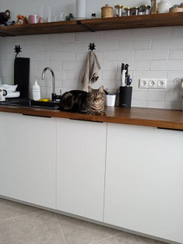 Кого из животных вы содержите? Фото приветствуется. - IMG_20220916_111934.jpg