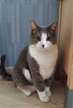 Кого из животных вы содержите? Фото приветствуется. - 20220914_090708.jpg