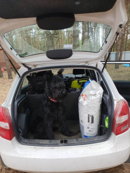 Кого из животных вы содержите? Фото приветствуется. - 20220911_132948.jpg