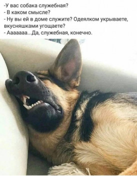 Юмор для всей семьи - IMG_20220927_221013.jpg