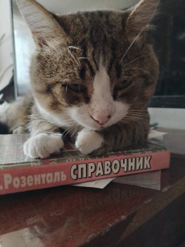 Клуб фелинологов-любителей  - ученый  кот.jpg