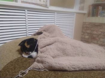 Фотоотчеты и планы Рукодельного марафона - IMG_20221017_203043.jpg