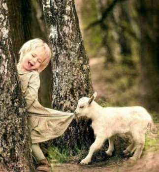 Доброго утра Хорошего дня Спокойной ночи  - IMG_20221007_105746.jpg