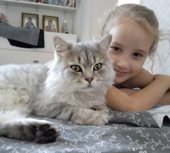 Клуб фелинологов-любителей  - IMG_20221025_104945.jpg