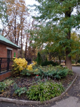 Поговорим о погоде - IMG_20221026_172340_1.jpg