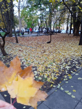 Поговорим о погоде - IMG_20221026_172831.jpg