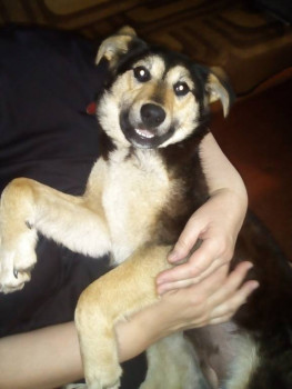 Клуб кинологов-любителей - IMG_20210428_172250.jpg