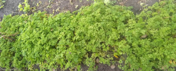 Чем сегодня занимались - IMG_20221031_102915.jpg