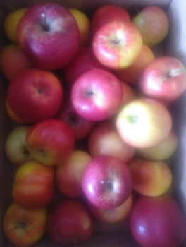 Чем сегодня занимались - IMG_20221031_111114.jpg