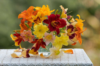 Поздравляем Селесту с Днём Рождения  - 7018371.jpg