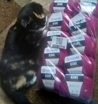 Рукодельная флудилка - IMG_20221104_161608.jpg