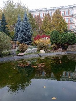 Поговорим о погоде - IMG_20221108_115609_1.jpg