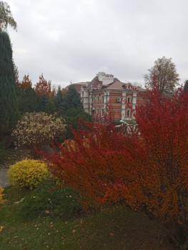 Поговорим о погоде - IMG_20221108_115941_1.jpg