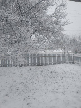 Поговорим о погоде - IMG_20221117_114042.jpg