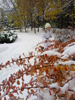 Поговорим о погоде - IMG_20221117_133400_1.jpg