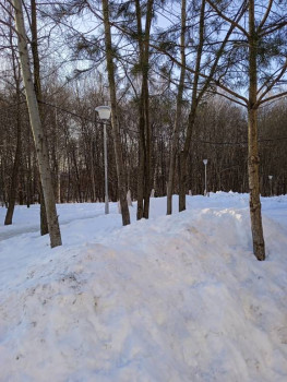 Чем сегодня занимались - IMG_20230106_113214_1.jpg