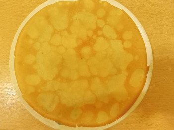 Блины. - IMG20230225200632.jpg