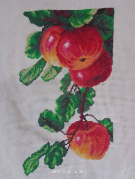 Вышивка в процессе - IMG_20230330_163045.jpg