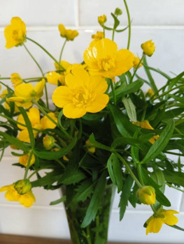 Чем сегодня занимались-2 - IMG_20230506_190145.jpg