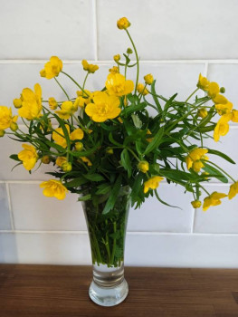 Чем сегодня занимались-2 - IMG_20230506_190140.jpg