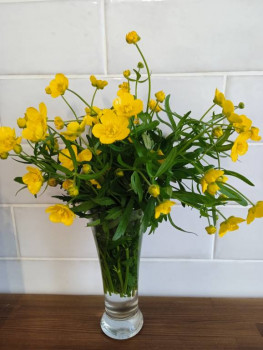 Чем сегодня занимались-2 - IMG_20230506_190138.jpg