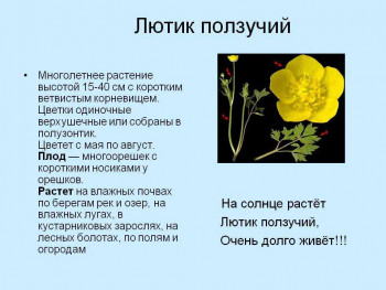 Чем сегодня занимались-2 - 7b2cb6c81ef19fe03584425fce43c61c.jpeg