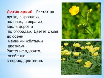 Чем сегодня занимались-2 - f5b064fea8226ff247c4624619d0f17d-800x.jpg