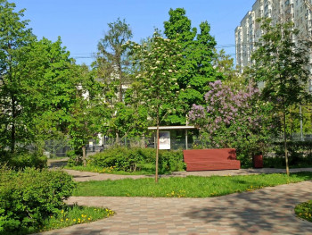 Чем сегодня занимались-2 - IMG_20230516_082805.jpg