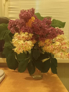 Чем сегодня занимались-2 - IMG20230516004547.jpg