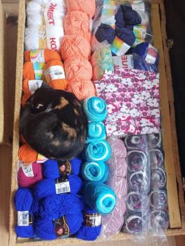 Кого из животных вы содержите? Фото приветствуется. - IMG20230528121014.jpg