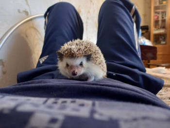 Кого из животных вы содержите? Фото приветствуется. - 20230521_153041.jpg