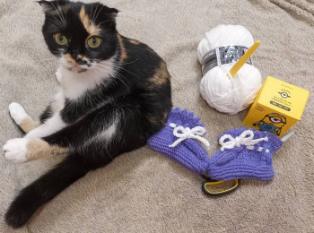 Фотоотчеты и планы Рукодельного марафона - IMG_20230614_225500.jpg