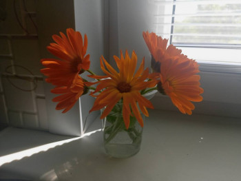 Чем сегодня занимались-2 - IMG20230618111450.jpg