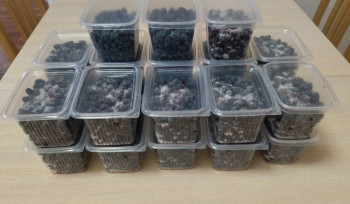 Чем сегодня занимались ваши дети? - 1687097142621.jpg