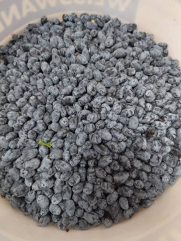 Чем сегодня занимались ваши дети? - 1687097142634.jpg