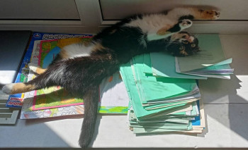 Кого из животных вы содержите? Фото приветствуется. - IMG_20230619_103429.jpg