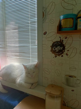 Кого из животных вы содержите? Фото приветствуется. - IMG20230619111756.jpg