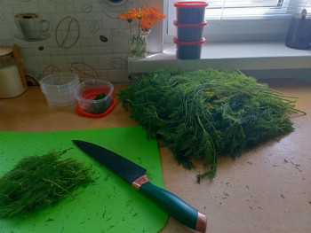 Чем сегодня занимались-2 - IMG20230619112316.jpg