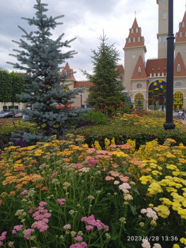 Чем сегодня занимались-2 - IMG_20230628_133620_1.jpg