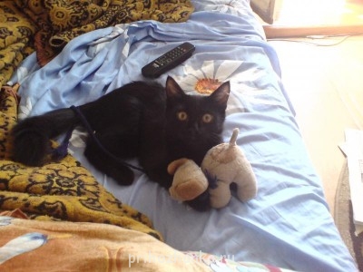 Кого из животных вы содержите? Фото приветствуется. - DSC02173.JPG