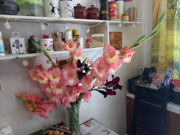 Чем сегодня занимались-2 - 20230710_112111.jpg