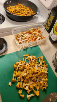 Чем сегодня занимались-2 - 20230719_215353.jpg