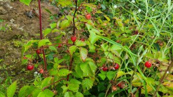 Чем сегодня занимались-2 - 20230719_141839.jpg