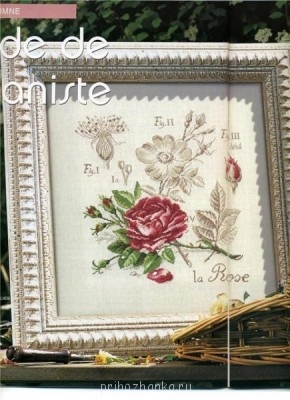 Вышивальные флудилки - роза.jpg