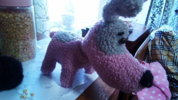 Мягкая игрушка - IMG_20230805_082926_955.jpg