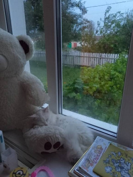 Кого из животных вы содержите? Фото приветствуется. - IMG20230811195210.jpg