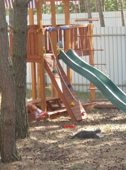 Кого из животных вы содержите? Фото приветствуется. - 20230816_111610.jpg