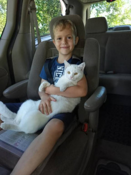 Кого из животных вы содержите? Фото приветствуется. - IMG20230817114731.jpg